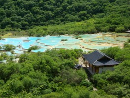 年丰旅游资讯网(年丰休闲农业观光园)