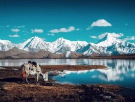 各种拍照技巧教你拍出时尚大片美景视频(各种拍照技巧教你拍出时尚大片美景视频教程)