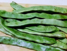 扁豆的营养价值(土耳其的红扁豆的营养价值)