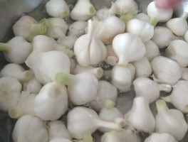 大蒜的腌制方法(酸甜大蒜的腌制方法)