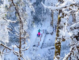 瓦屋山旅游住宿资讯网(瓦屋山旅游住宿资讯网站)