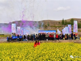 关于资讯广水桃源柿子文化旅游节开幕的信息