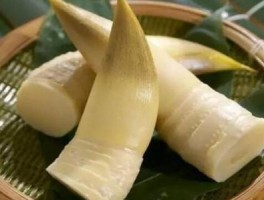冬笋的营养价值(冬笋的营养价值如何)