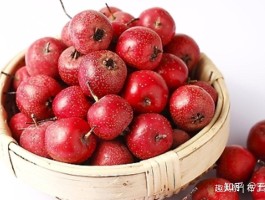 导致流产的食物(最容易导致流产的食物)