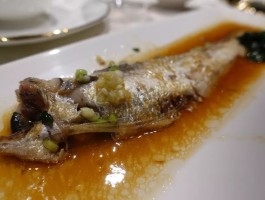 刀鱼炖豆腐(刀鱼炖豆腐的做法)