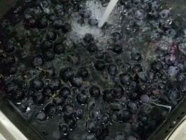 家庭自制葡萄酒的做法(如何自制葡萄酒的做法视频教程)