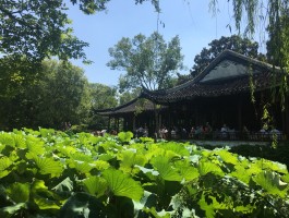 小雨的旅游记录(小雨珠旅行作文300字)