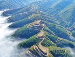庆阳旅游资讯网(庆阳旅游资讯网站)