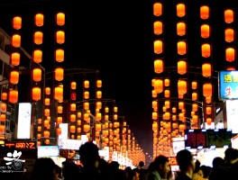 关于2023年春节去洛阳旅游攻略的信息