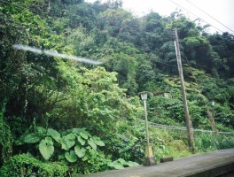 平溪旅游美食攻略(平溪旅游美食攻略一日游)