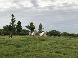 海安镇旅游资讯(海安镇旅游资讯网)