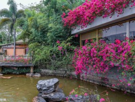 源城旅游新资讯最新(源城旅游新资讯最新消息今天)