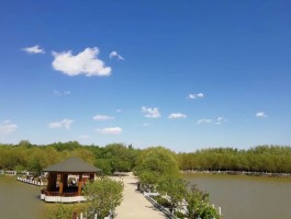 塘沽旅游资讯(塘沽旅游资讯电话)