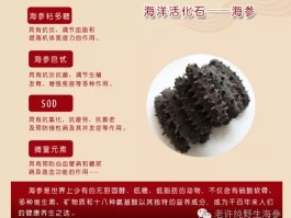 海参的营养价值和功效(海参的营养价值和功效做法)