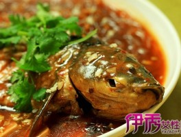 白鲢鱼怎么做好吃(白鲢鱼怎么做好吃视频)