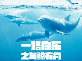 旅游资讯顾问(旅游顾问是干啥的)
