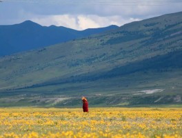 旅行中的女人心情超好(旅行中的女人心情超好的句子)