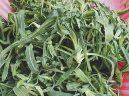 野菜的做法(野菜的做法大全家常炒菜视频)