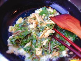 野菜的做法(野菜的做法大全家常炒菜)