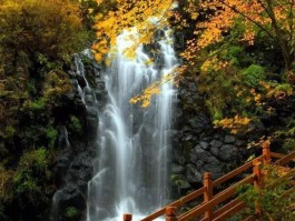 吉林白山旅游资讯(吉林白山旅游资讯网)