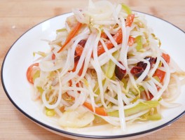 绿豆芽的做法大全(绿豆芽的做法大全 酸辣)