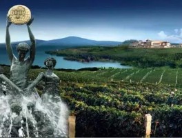 中国葡萄酒资讯网旅游频道(2020中国葡萄酒top10榜单)
