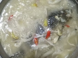 鲫鱼汤怎样熬(鲫鱼汤怎样熬才更营养)