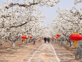莱阳旅游资讯网(莱阳旅游景点介绍)