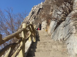 嵩山旅游资讯志愿者(嵩山旅游资讯志愿者招聘)