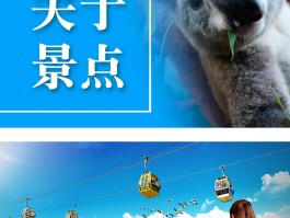 长隆旅游的最新资讯在哪(长隆旅游区现在门票是多少)