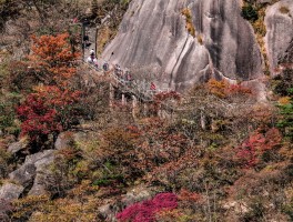 黄山旅游资讯网途牛(黄山旅游官方平台正式上线)