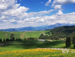 最新新疆旅游资讯(新疆旅游新闻最新头条报道)