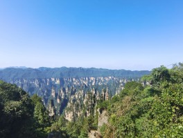武林源旅游资讯(武林园的地理位置和特点)