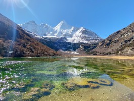 成都稻城亚丁旅游资讯(暑假成都亚丁稻城旅游攻略)
