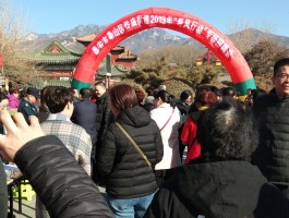 泰山旅游时事资讯(泰山旅游时事资讯报道)