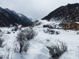 鹧鸪山旅游资讯(鹧鸪山自然风景区)