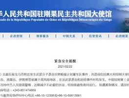 我大使馆发旅游安全提示资讯(我大使馆发旅游安全提示资讯是真的吗)
