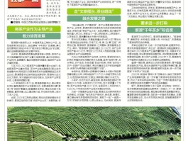 欣欣旅游资讯网(欣欣旅游网app下载)