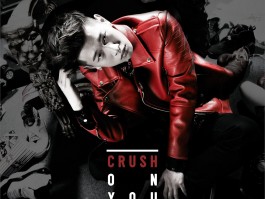 包含为什么年轻人会迷恋「crush」，却很难与crush走入亲密关系？的词条