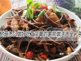 茶树菇的做法大全(新鲜茶树菇的做法大全)