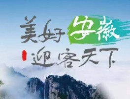 这么多旅游资讯统统了解起来(这么多旅游资讯统统了解起来英语翻译)