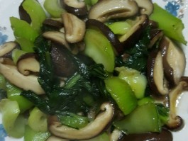 青菜的做法大全(青菜的做法大全家常)