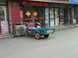 扬州娱乐场所营业最新通告消息图片(扬州娱乐场所营业最新通告消息图片查询)