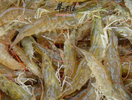 河虾的营养价值(河虾的营养价值与禁忌)