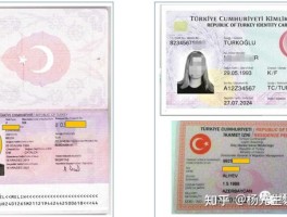 办旅游签证需要出示无犯罪记录吗的简单介绍