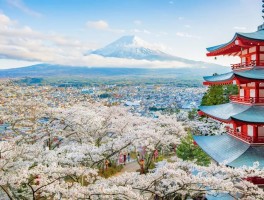 旅游资讯在哪找(最新旅游资讯在哪看)