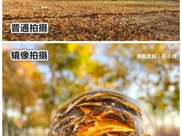 手机拍照片的各种技巧手法(手机拍照小技巧,收好这些干货)