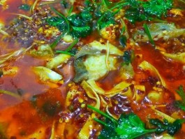 鱼的做法大全家常菜(鱼的做法大全家常菜清蒸鱼)
