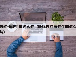 西红柿炖牛腩怎么炖（砂锅西红柿炖牛腩怎么炖）