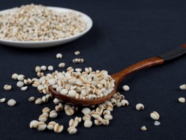 薏苡仁汤(薏苡仁汤方解)